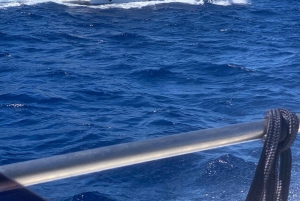 Isole Egadi: Tagestour auf dem Meer mit Verkostung lokaler Speisen