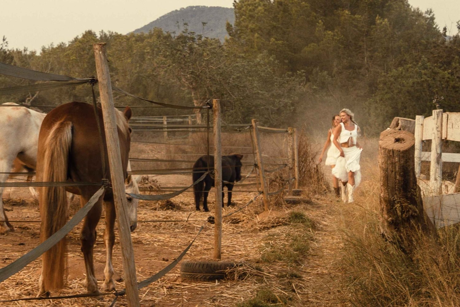Italia: 2 timers ridetur gjennom landsbygda