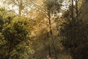 Italy: 2 Hours Horseback Riding Tour through Countryside