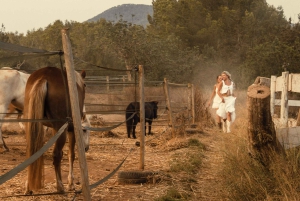 Italy: 2 Hours Horseback Riding Tour through Countryside