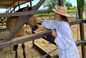 Italy: 2 Hours Horseback Riding Tour through Countryside