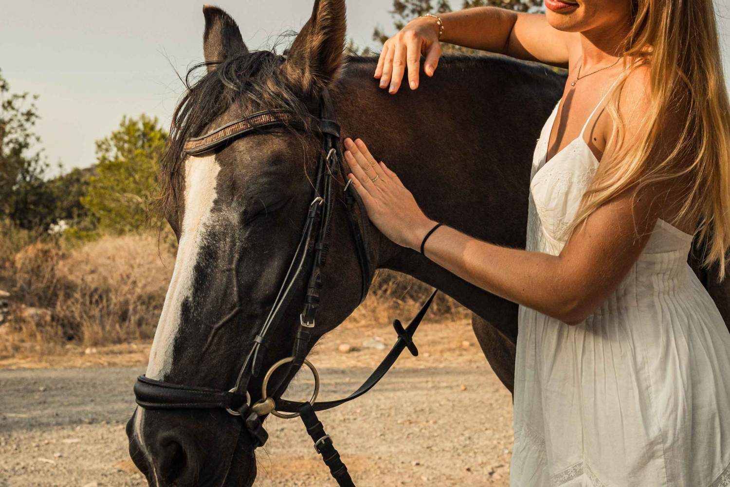 イタリア：海岸沿いの森で楽しむ乗馬体験（3時間、送迎付き）