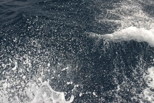 Jetski verhuur in Letojanni