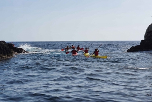 Taormina: Kayak Coastal Tour to Isola Bella and Blue Grotto