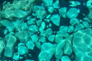 Lampedusa: boottocht met zwemstops en Italiaanse lunch