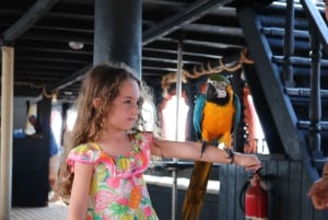 ランペドゥーサ島：昼食と音楽付きの海賊船ボート ツアー