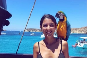 ランペドゥーサ島：昼食と音楽付きの海賊船ボート ツアー