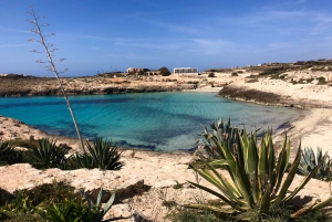 Lampedusa: Tabaccara Bay, Rabbit Island Boat Tour with Lunch