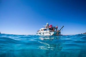 Lampedusa: Yachtausflug, Badestopps und typisches Mittagessen