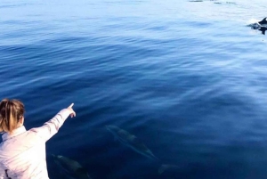 Letojanni, Taormina ja Isola Bella: päivittäinen ryhmäretki aperitiivilla