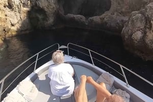 Letojanni og Taormina: PRIVAT DAGSOMVISNING og PRIVAT DELFINOMVISNING