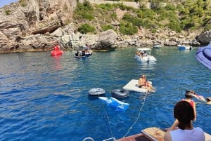 Letojanni og Taormina: PRIVAT DAGSOMVISNING og PRIVAT DELFINOMVISNING