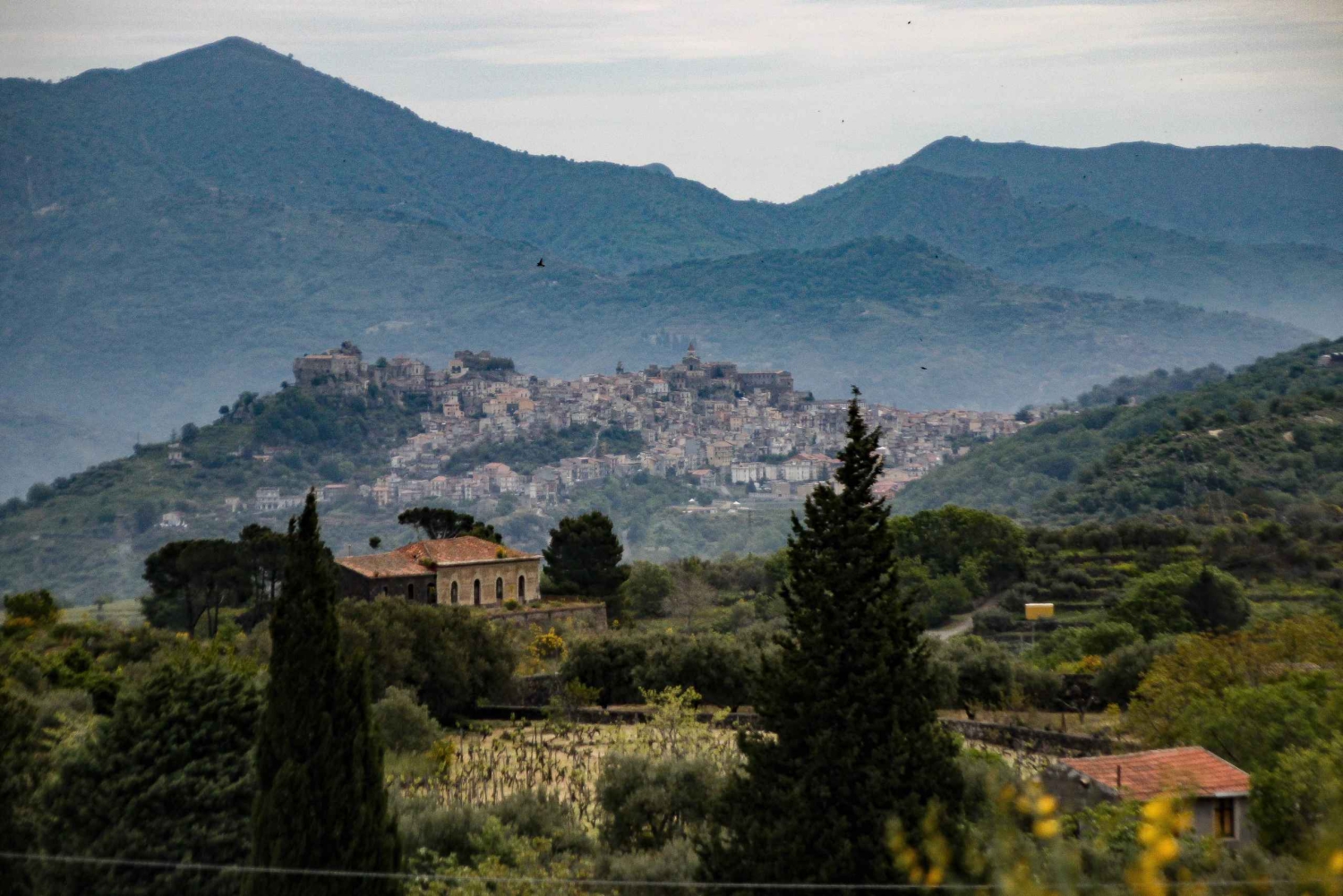 Лингваглосса: поездка на винном поезде по Этне и дегустация сицилийских вин