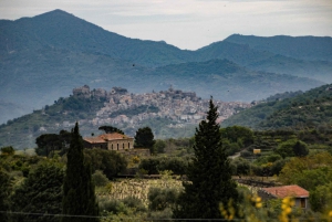 Лингваглосса: поездка на винном поезде по Этне и дегустация сицилийских вин