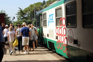 Лингваглосса: поездка на винном поезде по Этне и дегустация сицилийских вин