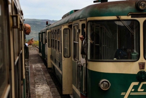 Лингваглосса: поездка на винном поезде по Этне и дегустация сицилийских вин