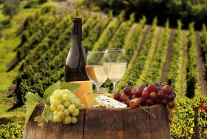 Linguaglossa: Wine Tasting Experience at Etna Nord
