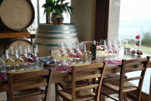 Linguaglossa: Wine Tasting Experience at Etna Nord