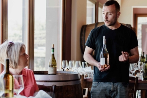 Linguaglossa: Expérience de dégustation de vins à l'Etna Nord