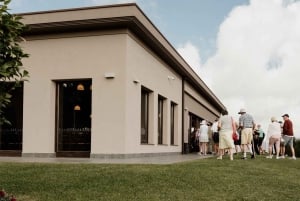 Linguaglossa: wijnproeverij bij Etna Nord