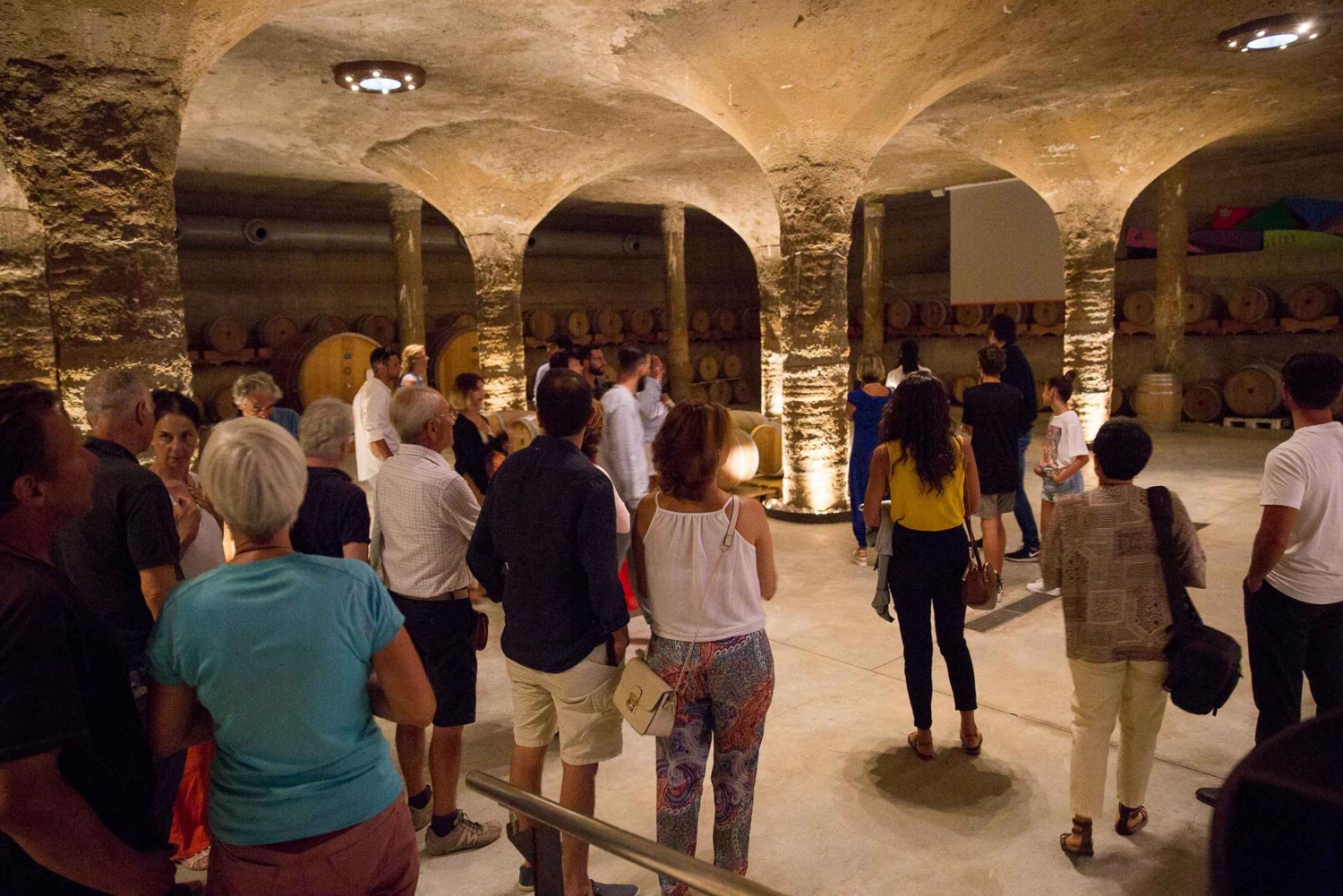 BODEGA LIPARI - CATA DE VINOS AL ATARDECER