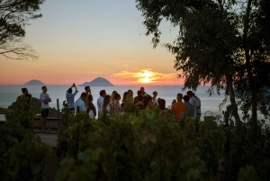 BODEGA LIPARI - CATA DE VINOS AL ATARDECER
