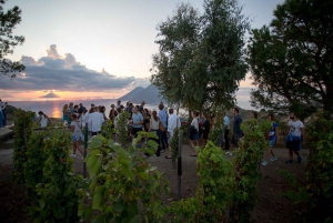 BODEGA LIPARI - CATA DE VINOS AL ATARDECER