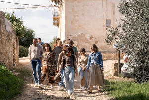 Partinico: Spasertur i en siciliansk olivenlund og hjemmelaget aperitiff