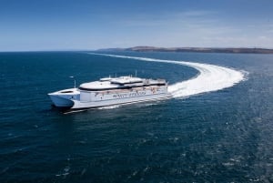 Malta: Mount Etna and Catania Guided Day Trip by Catamaran