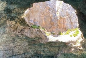 Marettimo: Insel Speedboat Tour mit Höhlenbesichtigung und Schwimmen