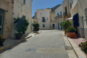 Marettimo : visite privée en bateau des 8 grottes avec plongée avec tuba