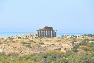 Private tour of the Selinunte Archaeological Park