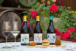 Марсала: дегустация вин Карузо и Минини и аромат моря