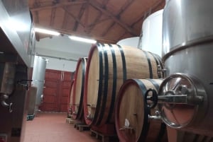 Marsala: Besøk i vingård og smaking av håndverksvin