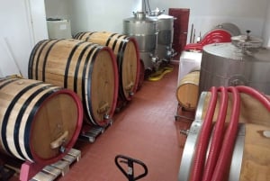 Marsala: Besøk i vingård og smaking av håndverksvin