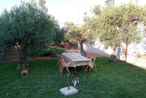 Marsala: Besøk i vingård og smaking av håndverksvin