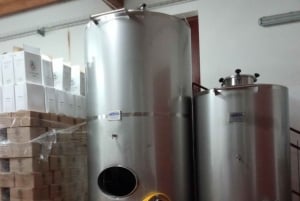 Marsala: Besøk i vingård og smaking av håndverksvin