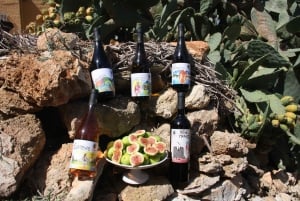 Marsala: Besøk i vingård og smaking av håndverksvin