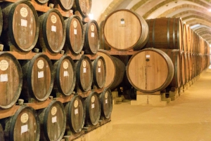Marsala: Florio Winery Tour with Food-Paired Wine Tastings