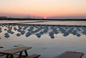 Marsala: Guided tour of the Genna Salt Pans