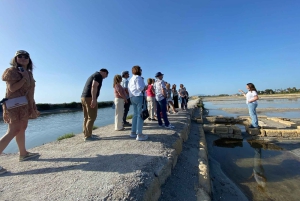 Marsala: Wycieczka z przewodnikiem po patelniach solnych Genna