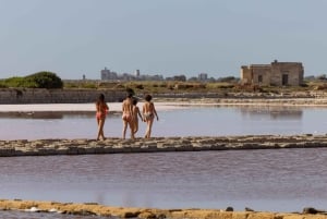 Marsala: Benessere delle saline rosa