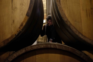 Marsala: Florio Winery Tour with Wine Tastings