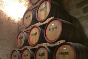 Marsala tour: Salt Road Tour Winery visit/tasting Boat Trip