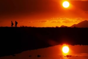 Marsala tour: Salt Road Tour Winery visit/tasting Boat Trip