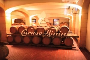 Marsala tour: Salt Road Tour Winery visit/tasting Boat Trip