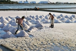 Marsala tour: Salt Road Tour Winery visit/tasting Boat Trip