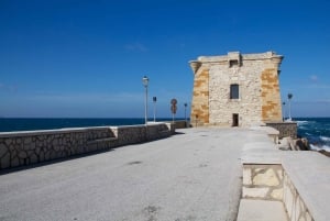 Marsala tour: Salt Road Tour Winery visit/tasting Boat Trip