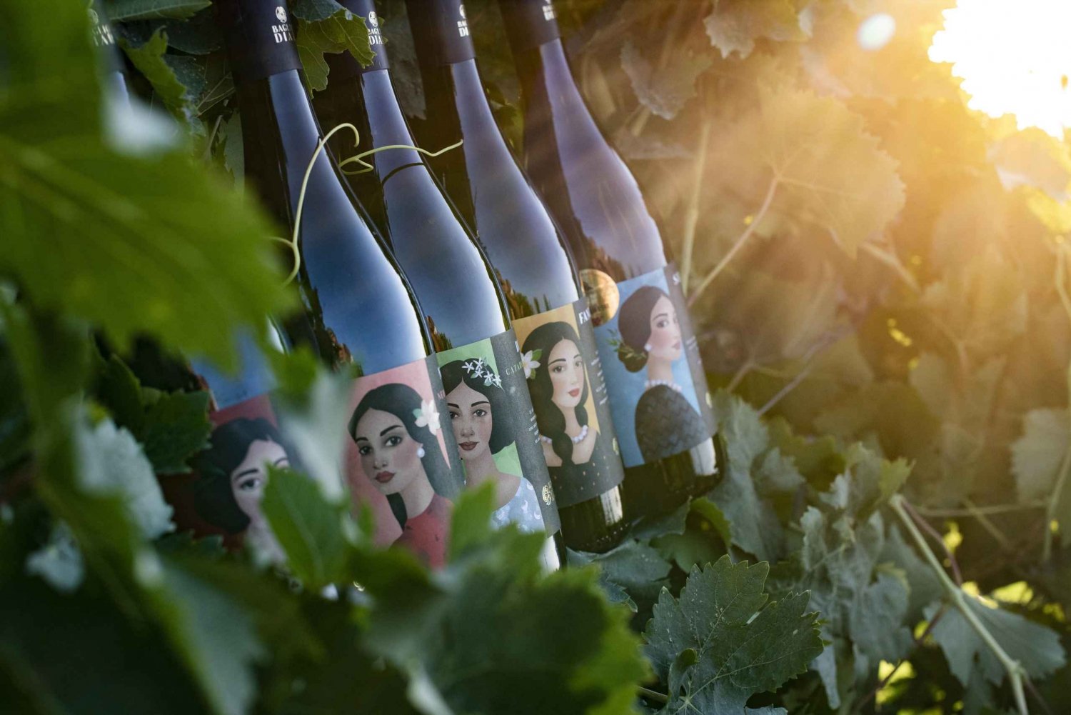 Marsala: omvisning på vingård og prøvesmaking av siciliansk økologisk vin