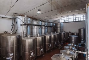 Marsala: Kellertour und Verkostung sizilianischer Bio-Weine